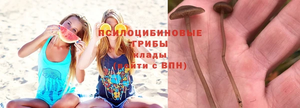 apvp Алексеевка