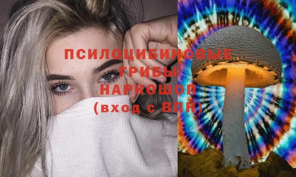 apvp Алексеевка