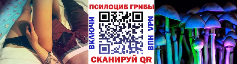 гидра ТОР  Калачинск  Псилоцибиновые грибы прущие грибы 